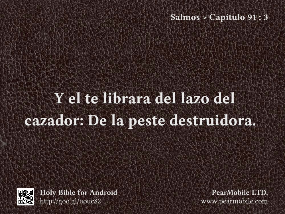 Salmos, Capítulo 91:3